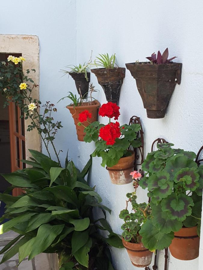 Rua Das Rosas 22/B&B Фігейра-да-Фош Екстер'єр фото